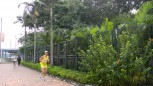 sportsoho運動版圖